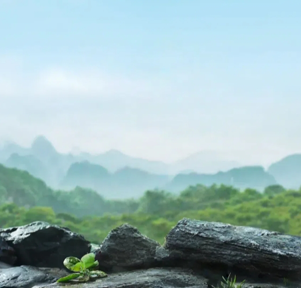 富硒水